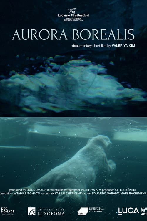 Poster for Aurora Borealis