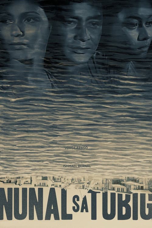 Poster for A Speck in the Water