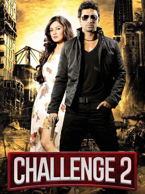 Poster for Challenge 2