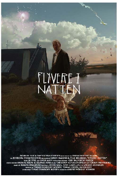 Poster for Planes in the Night