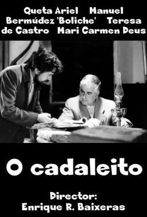 Poster for The coffin