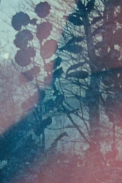 Poster for Lovetape Film