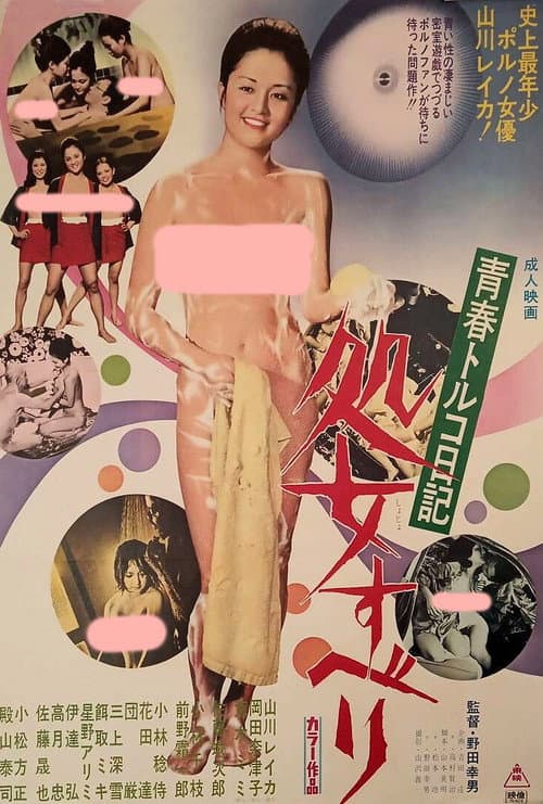 Poster for 青春トルコ日記 処女すべり