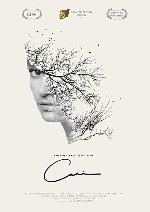 Poster for Cari