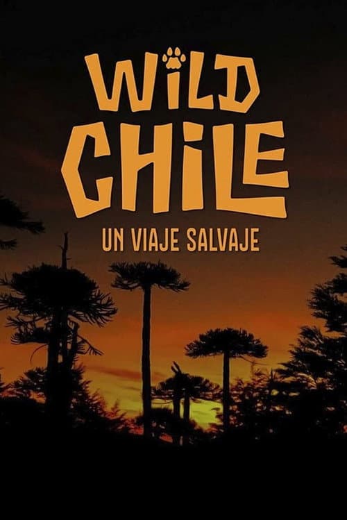 Poster for Chile: A Wild Journey - The Special