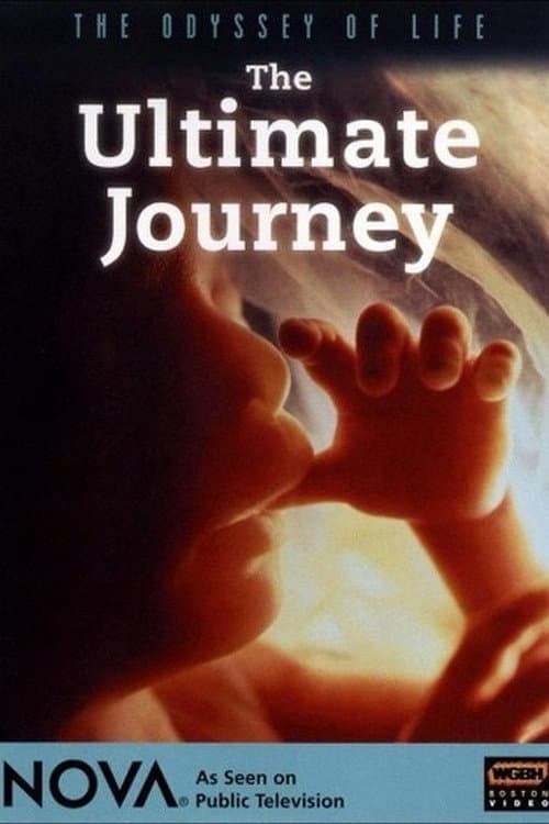 Poster for Odyssey of Life