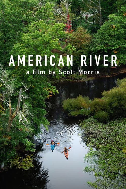 Poster for American River