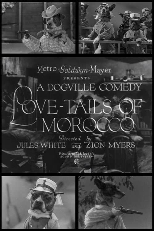 Poster for Love-Tails of Morocco