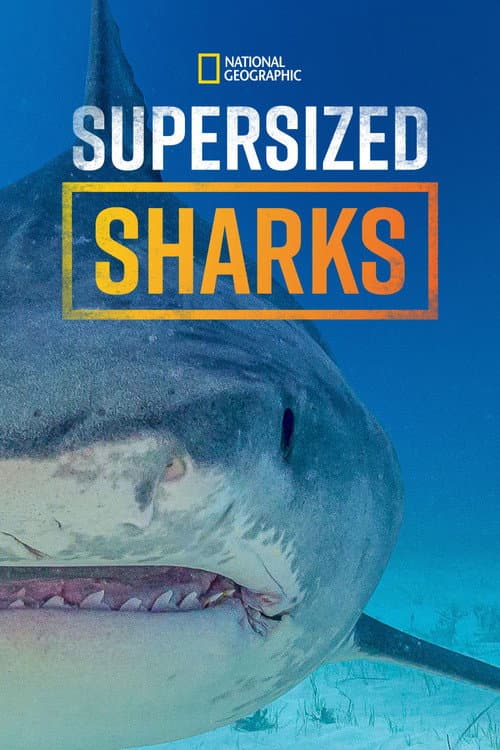 Poster for Supersized Sharks
