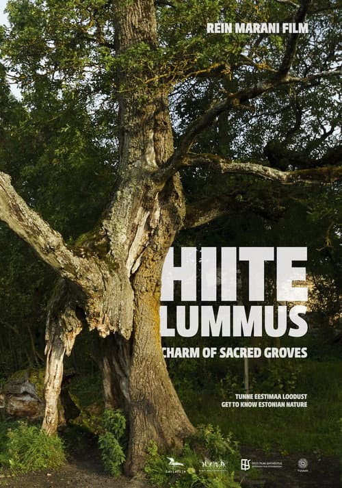 Poster for Charm of Sacred Groves
