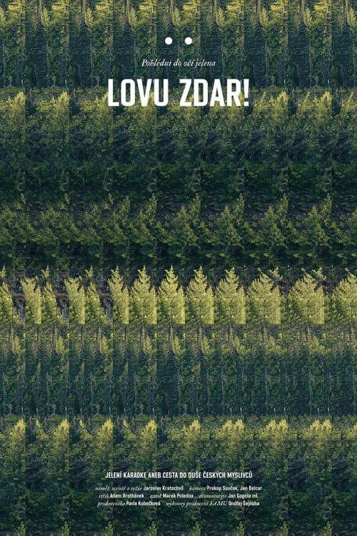 Poster for Long Live Hunting!