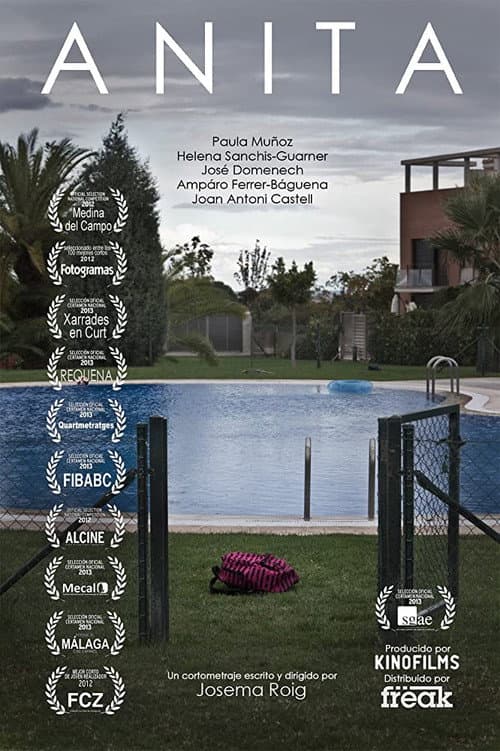 Poster for Anita
