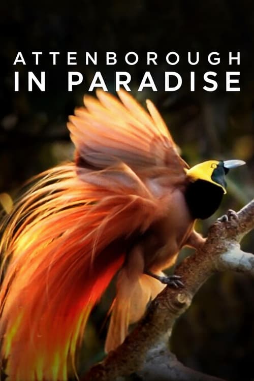 Poster for Attenborough in Paradise
