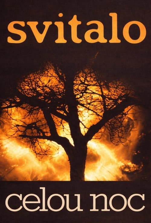 Poster for Svítalo celou noc