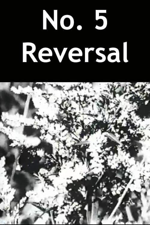 Poster for No. 5 Reversal