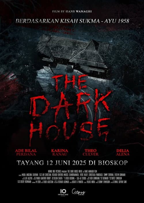Poster for The Dark House