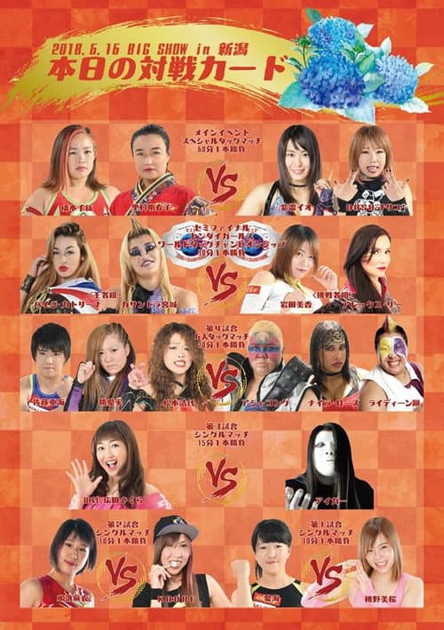 Poster for Sendai Girls Joshi Puroresu Big Show 2018 In Niigata