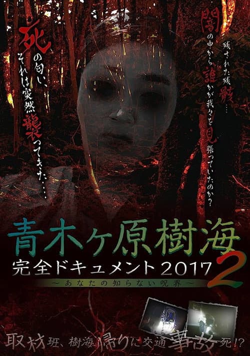 Poster for Aokigahara Jukai: Complete Document 2017 - The Curse You Don't Know 2