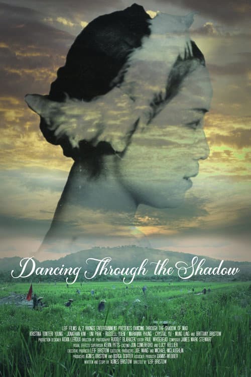 Poster for Dancing Through the Shadow