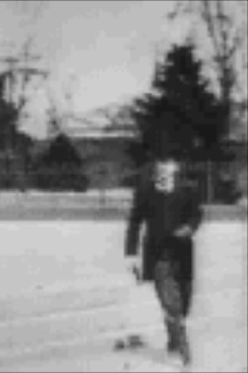 Poster for Theodore Roosevelt Leaving the White House