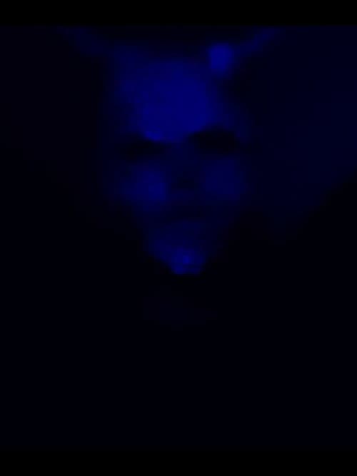 Poster for (R)eliving the (E)xecution of (M)yself