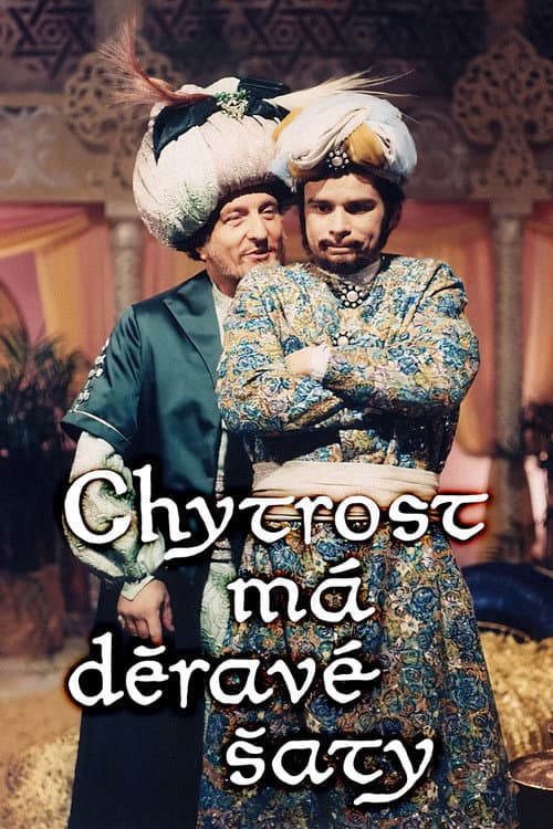 Poster for Chytrost má děravé šaty