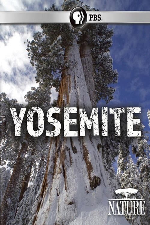 Poster for Nature: Yosemite
