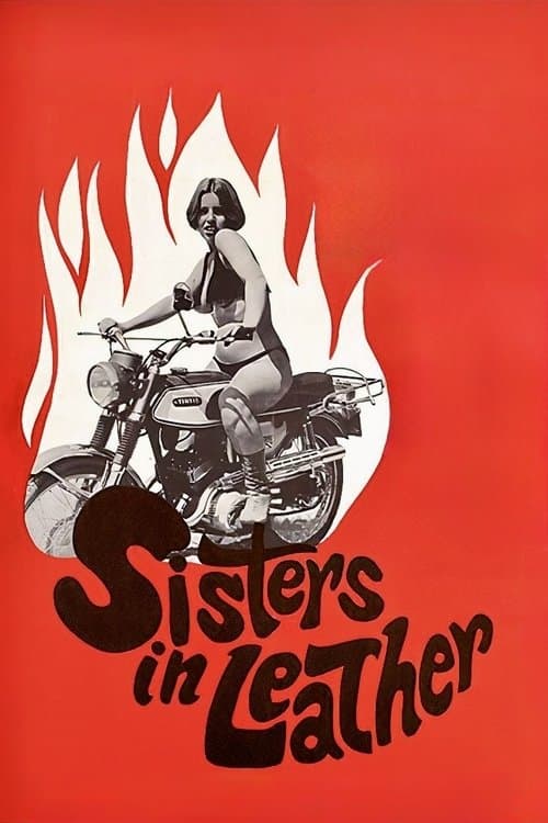 Poster for Sisters in Leather