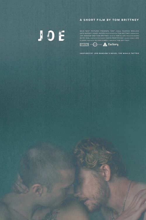 Poster for Joe