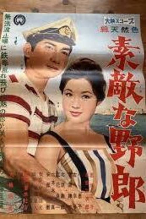 Poster for A Nice Guy