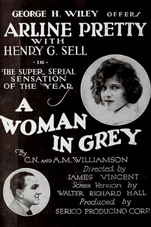Poster for A Woman in Grey