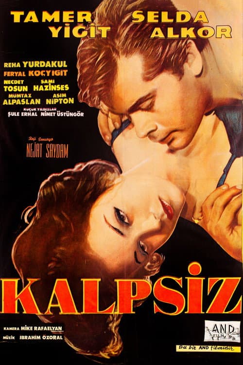Poster for Kalpsiz