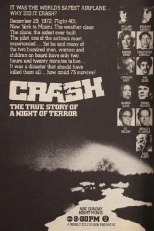 Poster for The Crash of Flight 401