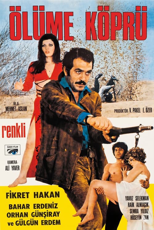 Poster for Ölüme Köprü