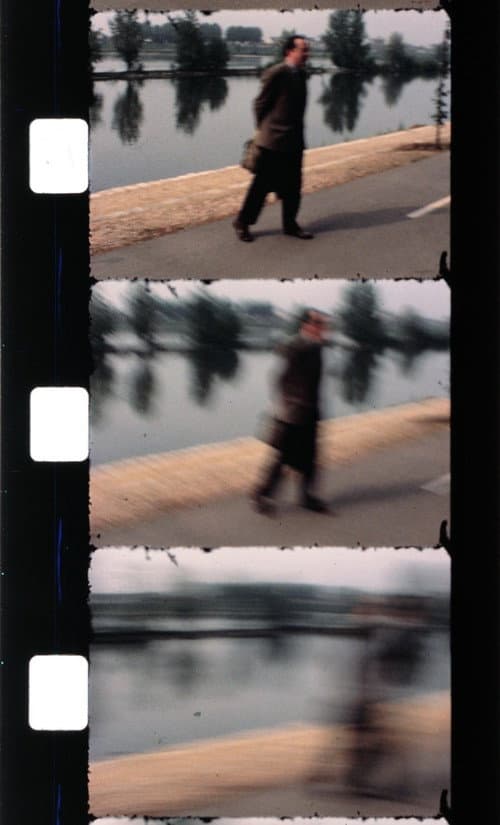 Poster for Effeuiller l'acanthe