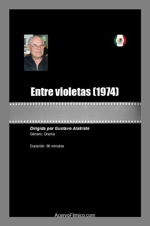 Poster for Entre violetas