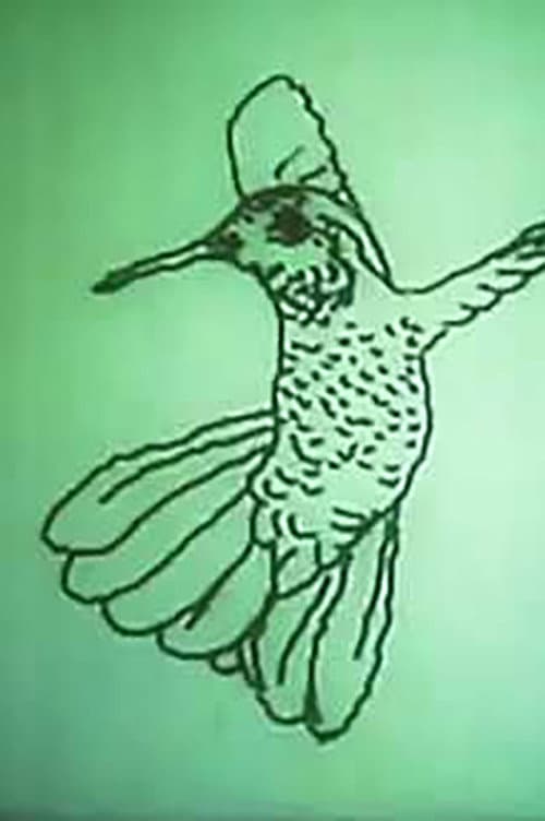 Poster for Hummingbird