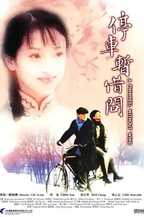 Poster for A Pinwheel Without Wind