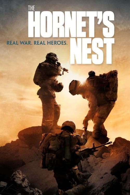 Poster for The Hornet's Nest