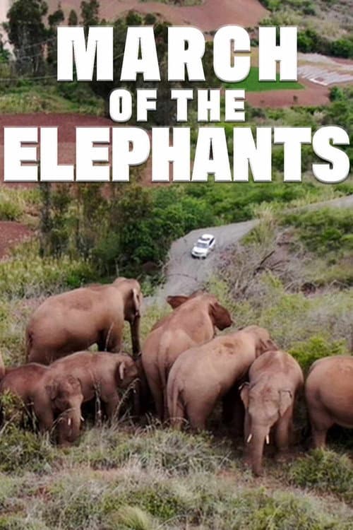 Poster for March of the Elephants