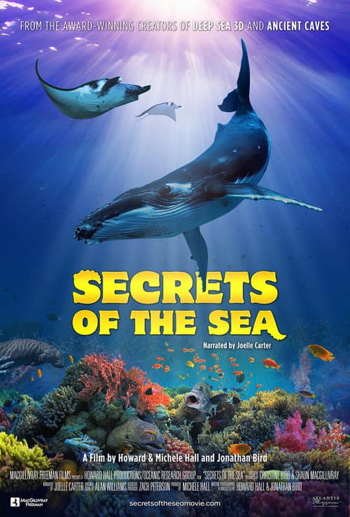 Poster for Secrets of the Sea