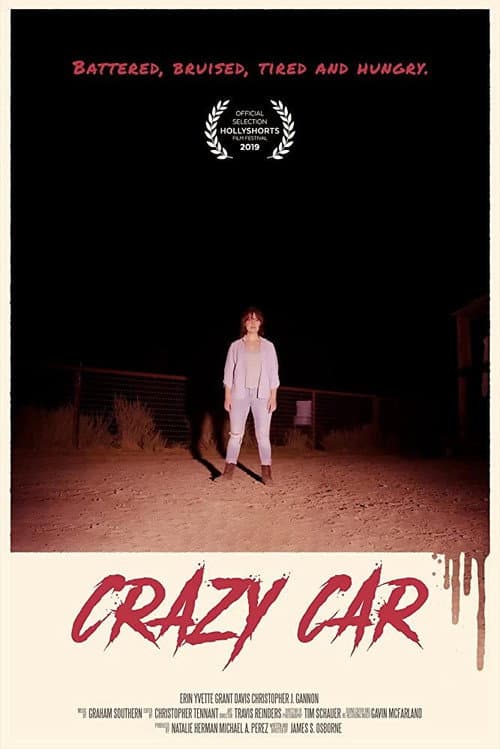 Poster for Crazy Car