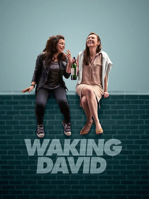 Poster for Waking David