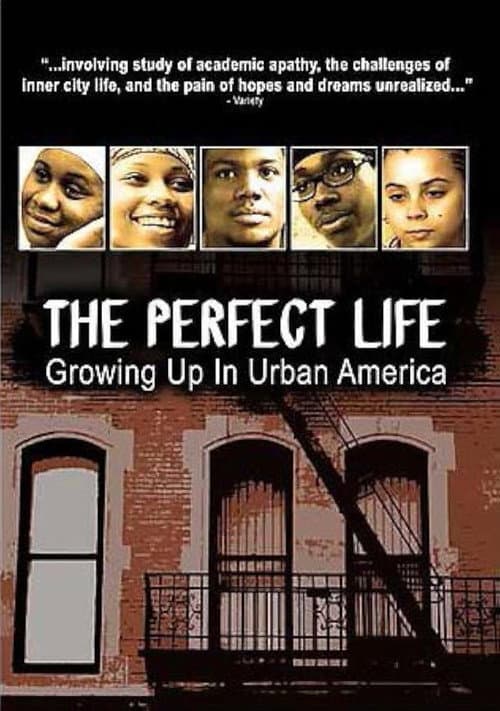 Poster for The Perfect Life