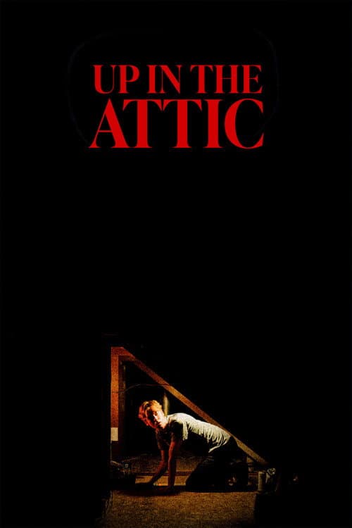 Poster for Up In The Attic