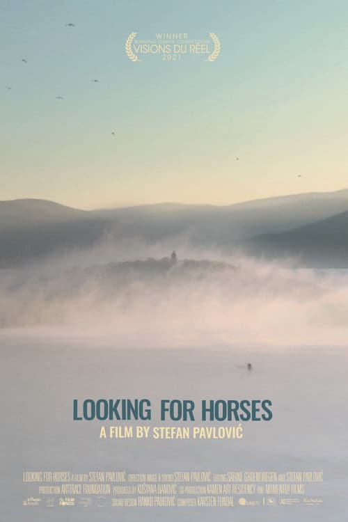 Poster for Looking for Horses
