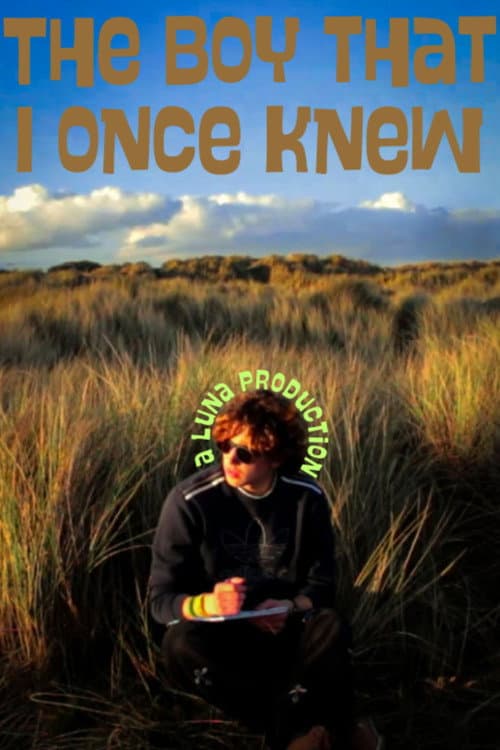 Poster for The Boy that I once knew