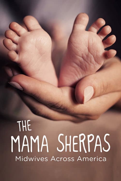 Poster for The Mama Sherpas
