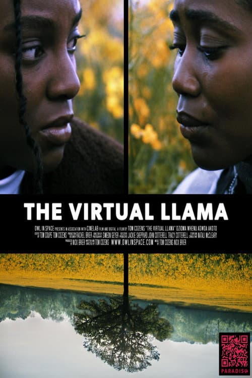 Poster for The Virtual Llama