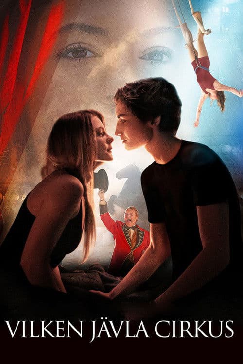 Poster for Mending Hugo's Heart